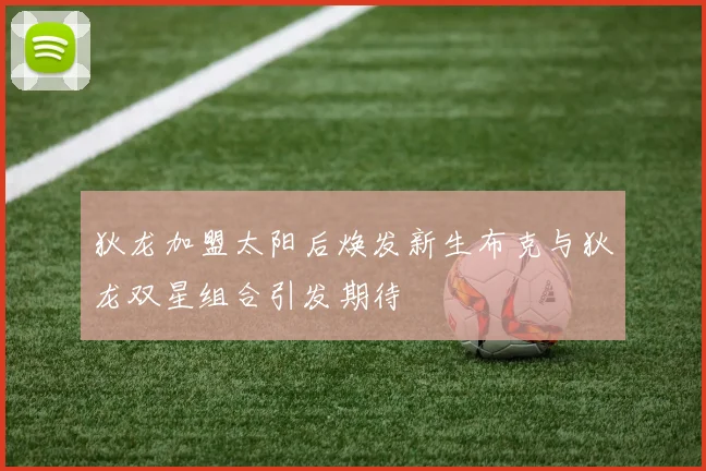 狄龙加盟太阳后焕发新生布克与狄龙双星组合引发期待