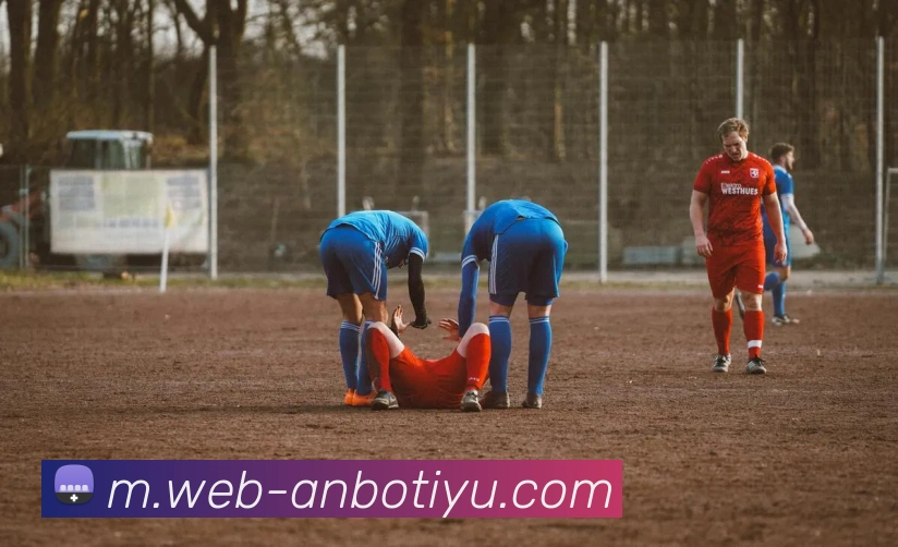 安博体育服务体系