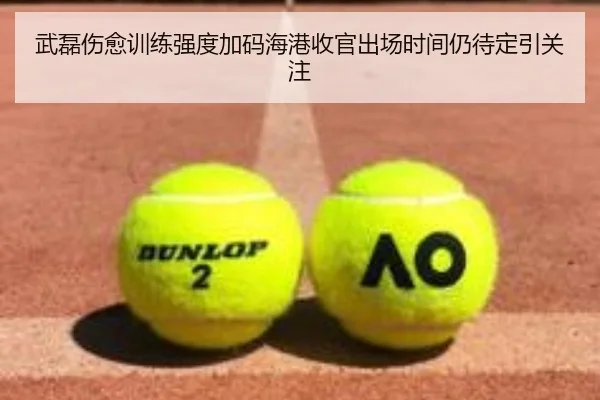 武磊伤愈训练强度加码海港收官出场时间仍待定引关注